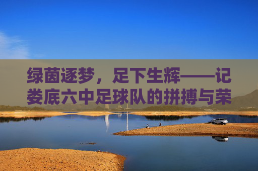 绿茵逐梦，足下生辉——记娄底六中足球队的拼搏与荣光