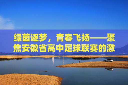 绿茵逐梦,青春飞扬——聚焦安徽省高中足球联赛的激情与荣光
