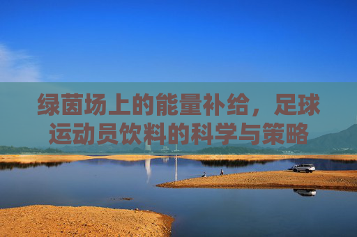 绿茵场上的能量补给，足球运动员饮料的科学与策略