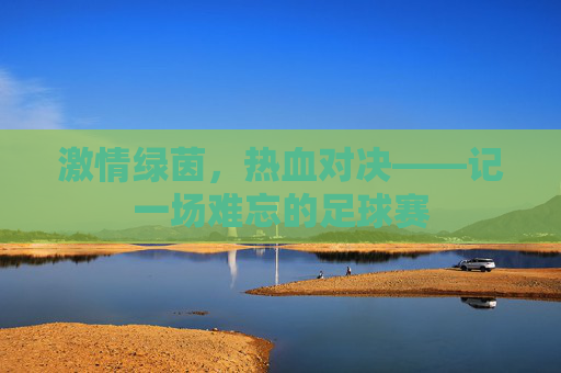 激情绿茵，热血对决——记一场难忘的足球赛