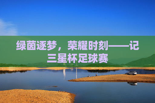 绿茵逐梦，荣耀时刻——记三星杯足球赛