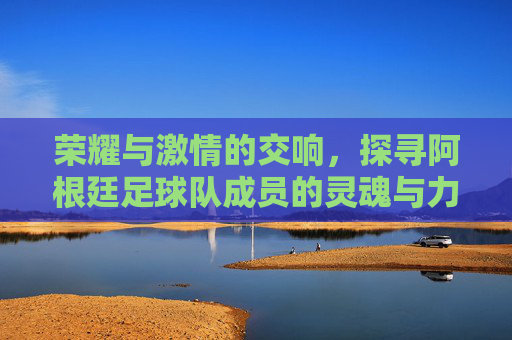 荣耀与激情的交响，探寻阿根廷足球队成员的灵魂与力量