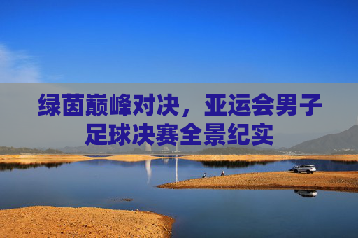 绿茵巅峰对决，亚运会男子足球决赛全景纪实