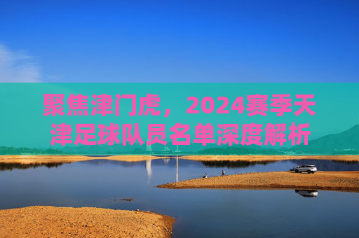聚焦津门虎，2024赛季天津足球队员名单深度解析