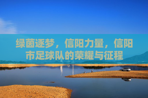 绿茵逐梦，信阳力量，信阳市足球队的荣耀与征程