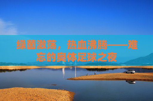 绿茵激荡，热血沸腾——难忘的奥体足球之夜