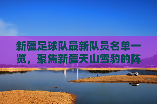 新疆足球队最新队员名单一览，聚焦新疆天山雪豹的阵容构成