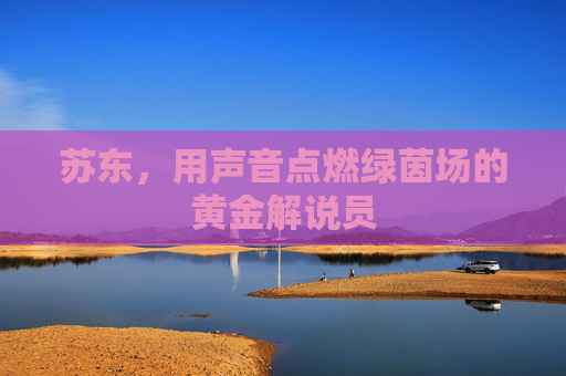 苏东，用声音点燃绿茵场的黄金解说员