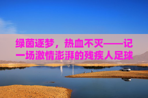 绿茵逐梦，热血不灭——记一场激情澎湃的残疾人足球赛
