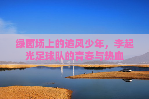 绿茵场上的追风少年，李起光足球队的青春与热血
