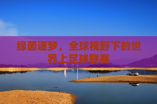 绿茵逐梦，全球视野下的世界上足球联赛