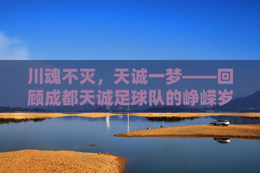 川魂不灭，天诚一梦——回顾成都天诚足球队的峥嵘岁月