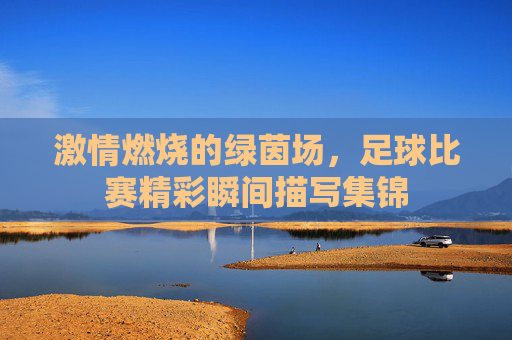 激情燃烧的绿茵场，足球比赛精彩瞬间描写集锦
