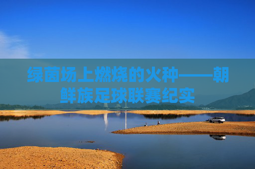 绿茵场上燃烧的火种——朝鲜族足球联赛纪实