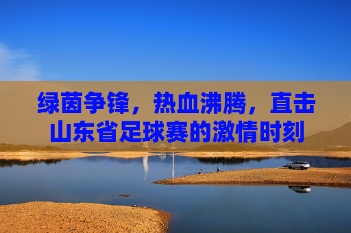 绿茵争锋，热血沸腾，直击山东省足球赛的激情时刻