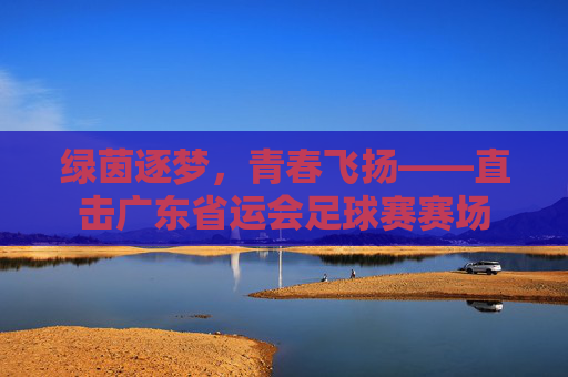 绿茵逐梦，青春飞扬——直击广东省运会足球赛赛场