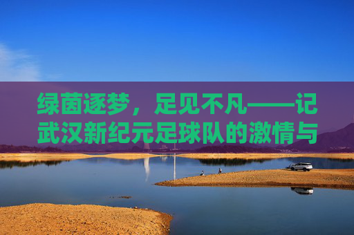 绿茵逐梦，足见不凡——记武汉新纪元足球队的激情与荣光