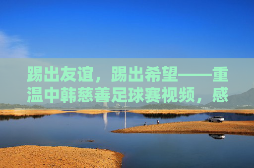 踢出友谊，踢出希望——重温中韩慈善足球赛视频，感受跨越国界的温暖
