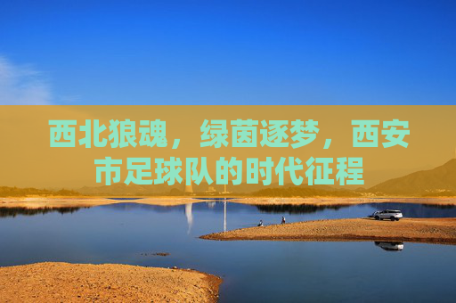 西北狼魂，绿茵逐梦，西安市足球队的时代征程