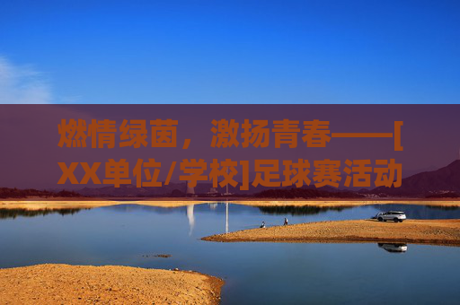 燃情绿茵，激扬青春——[XX单位/学校]足球赛活动总结