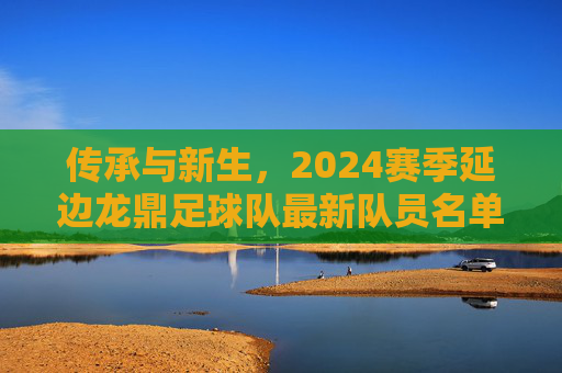 传承与新生，2024赛季延边龙鼎足球队最新队员名单全解析