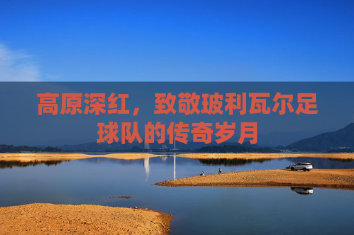 高原深红，致敬玻利瓦尔足球队的传奇岁月