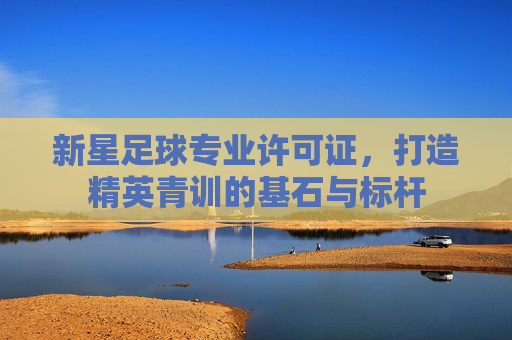 新星足球专业许可证，打造精英青训的基石与标杆