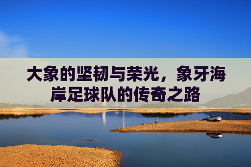 大象的坚韧与荣光，象牙海岸足球队的传奇之路