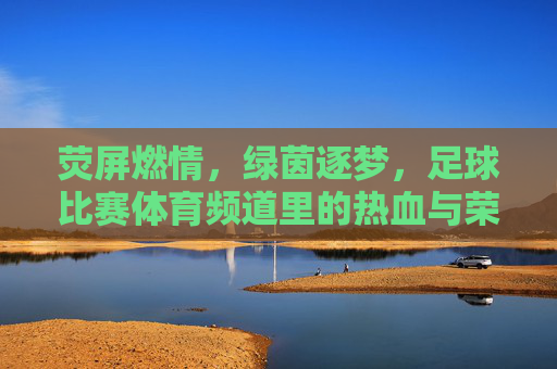 荧屏燃情，绿茵逐梦，足球比赛体育频道里的热血与荣耀