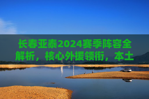 长春亚泰2024赛季阵容全解析，核心外援领衔，本土球员蓄势待发
