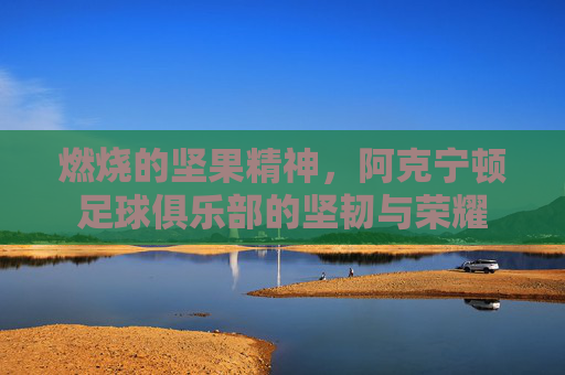 燃烧的坚果精神，阿克宁顿足球俱乐部的坚韧与荣耀