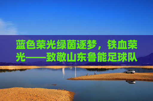 蓝色荣光绿茵逐梦，铁血荣光——致敬山东鲁能足球队员