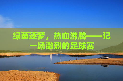 绿茵逐梦，热血沸腾——记一场激烈的足球赛