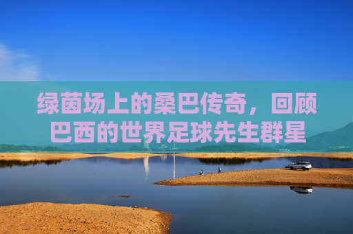 绿茵场上的桑巴传奇，回顾巴西的世界足球先生群星
