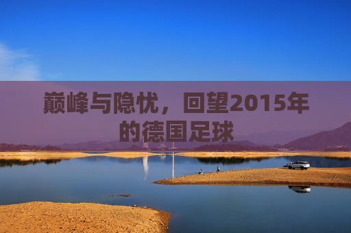 巅峰与隐忧，回望2015年的德国足球