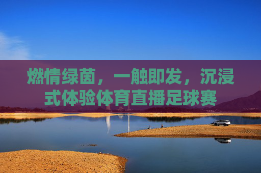 燃情绿茵，一触即发，沉浸式体验体育直播足球赛
