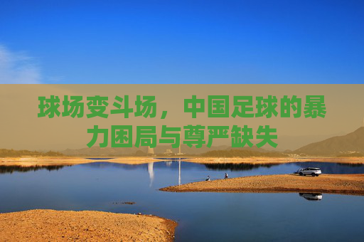 球场变斗场，中国足球的暴力困局与尊严缺失