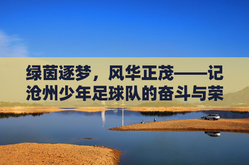 绿茵逐梦，风华正茂——记沧州少年足球队的奋斗与荣光