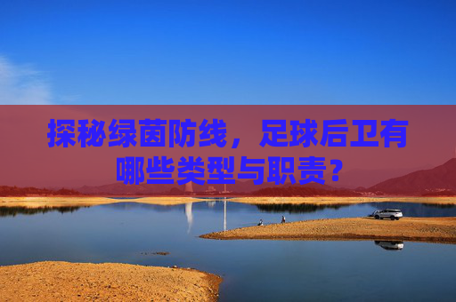 探秘绿茵防线，足球后卫有哪些类型与职责？