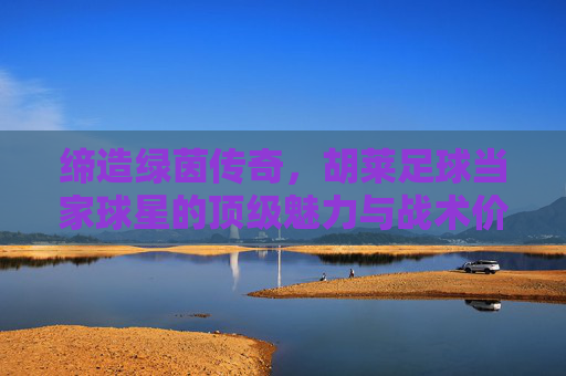 缔造绿茵传奇，胡莱足球当家球星的顶级魅力与战术价值