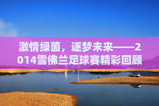 激情绿茵，逐梦未来——2014雪佛兰足球赛精彩回顾