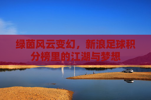 绿茵风云变幻，新浪足球积分榜里的江湖与梦想