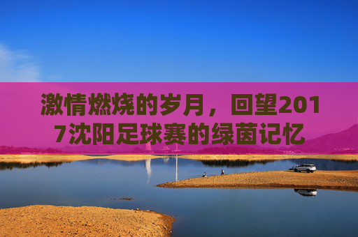 激情燃烧的岁月，回望2017沈阳足球赛的绿茵记忆