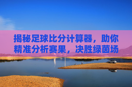 揭秘足球比分计算器，助你精准分析赛果，决胜绿茵场