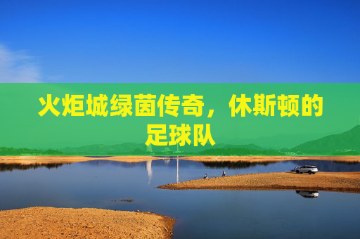 火炬城绿茵传奇，休斯顿的足球队