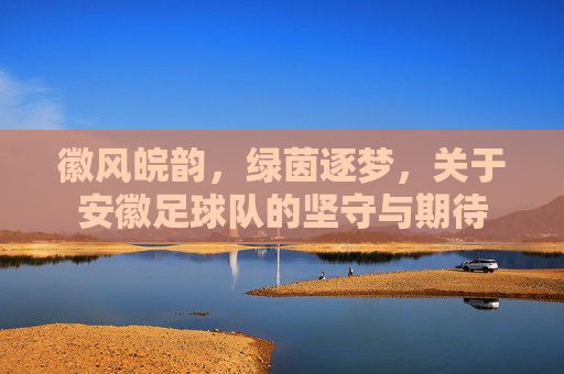 徽风皖韵，绿茵逐梦，关于安徽足球队的坚守与期待