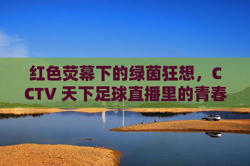 红色荧幕下的绿茵狂想，CCTV 天下足球直播里的青春与热血