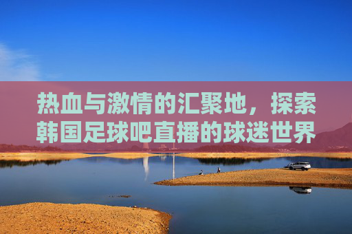热血与激情的汇聚地，探索韩国足球吧直播的球迷世界