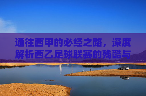 通往西甲的必经之路，深度解析西乙足球联赛的残酷与魅力