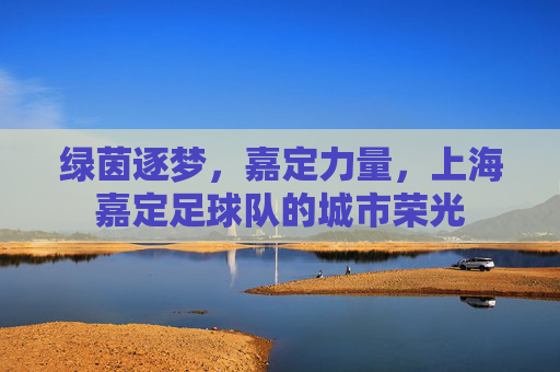 绿茵逐梦，嘉定力量，上海嘉定足球队的城市荣光